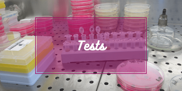 Capsule Petri e provette per i test fatti sui prodotti cosmetici